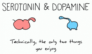 serotonina-dopamina-fet